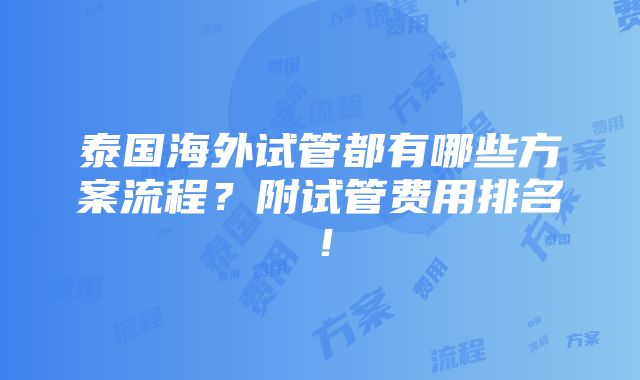 泰国海外试管都有哪些方案流程？附试管费用排名！