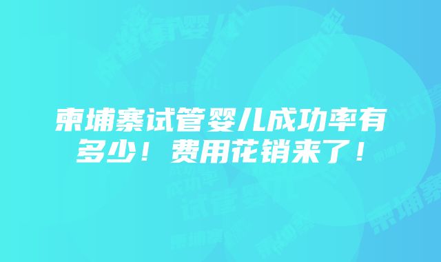 柬埔寨试管婴儿成功率有多少！费用花销来了！