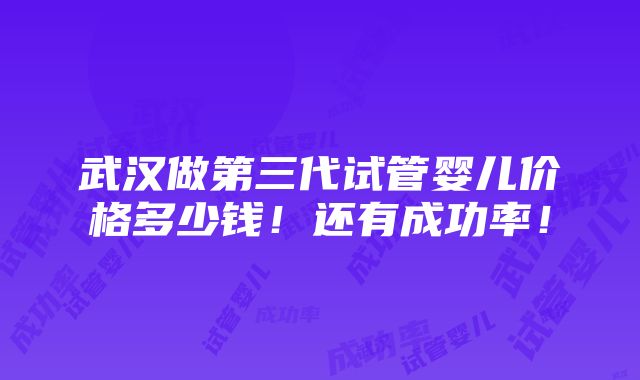 武汉做第三代试管婴儿价格多少钱！还有成功率！