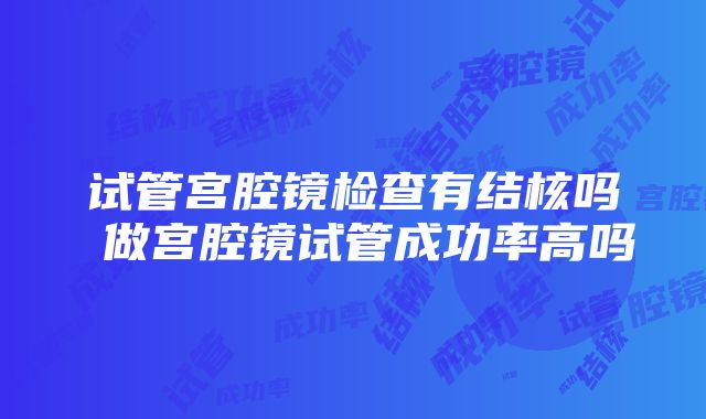 试管宫腔镜检查有结核吗 做宫腔镜试管成功率高吗