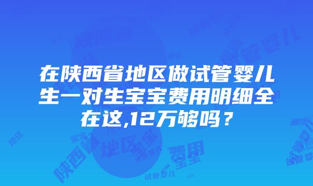 在陕西省地区做试管婴儿生一对生宝宝费用明细全在这,12万够吗？