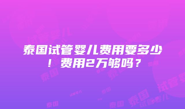 泰国试管婴儿费用要多少！费用2万够吗？