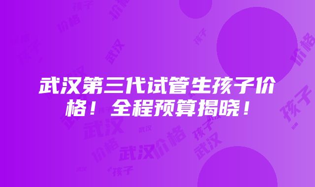 武汉第三代试管生孩子价格！全程预算揭晓！