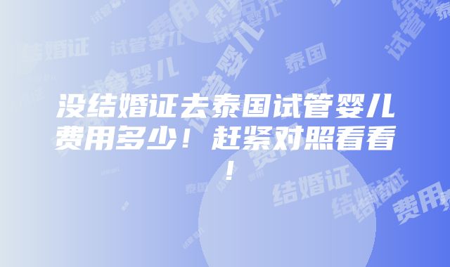 没结婚证去泰国试管婴儿费用多少！赶紧对照看看！