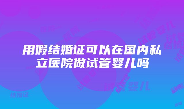 用假结婚证可以在国内私立医院做试管婴儿吗