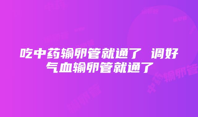 吃中药输卵管就通了 调好气血输卵管就通了