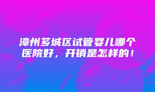 漳州芗城区试管婴儿哪个医院好，开销是怎样的！