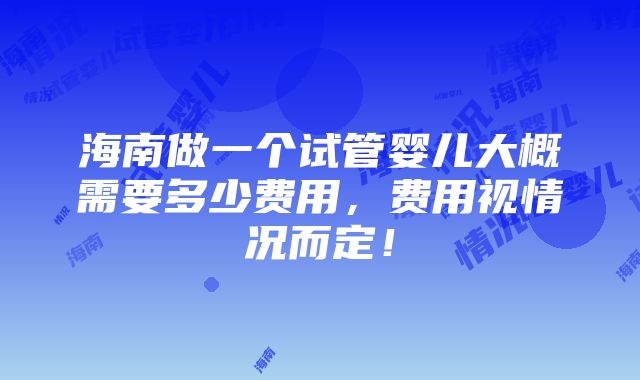 海南做一个试管婴儿大概需要多少费用，费用视情况而定！