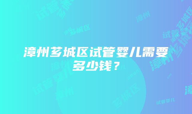 漳州芗城区试管婴儿需要多少钱？