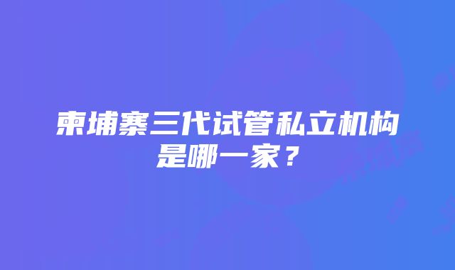 柬埔寨三代试管私立机构是哪一家？