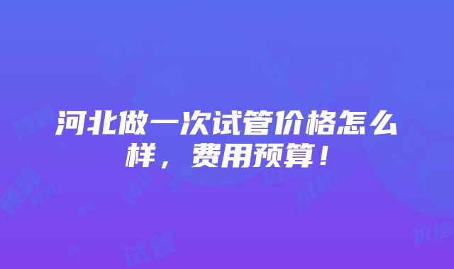 河北做一次试管价格怎么样，费用预算！