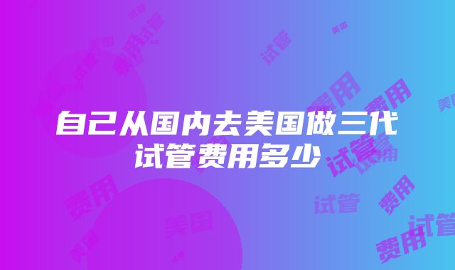 自己从国内去美国做三代试管费用多少