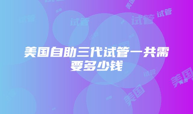 美国自助三代试管一共需要多少钱