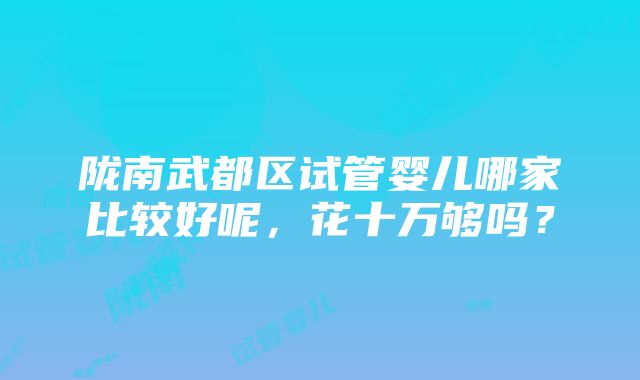 陇南武都区试管婴儿哪家比较好呢，花十万够吗？