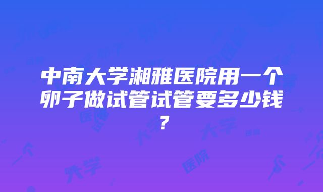 中南大学湘雅医院用一个卵子做试管试管要多少钱？