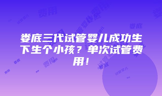 娄底三代试管婴儿成功生下生个小孩？单次试管费用！