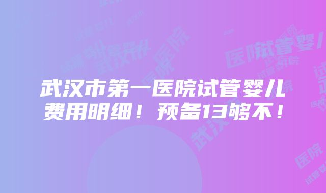 武汉市第一医院试管婴儿费用明细！预备13够不！