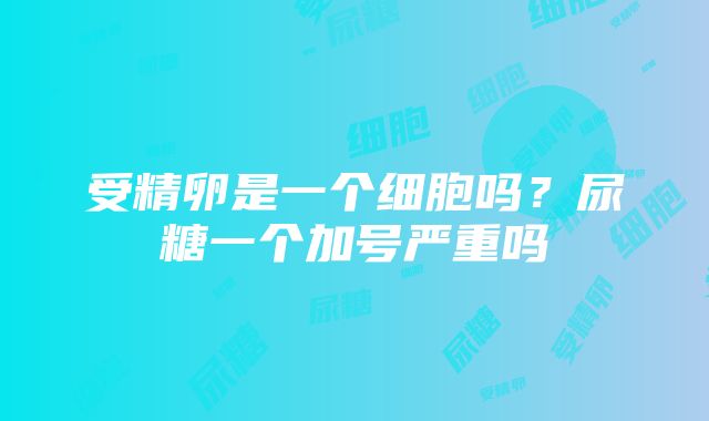 受精卵是一个细胞吗？尿糖一个加号严重吗