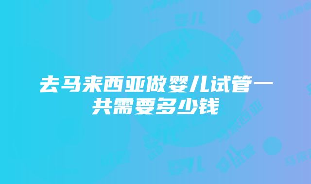 去马来西亚做婴儿试管一共需要多少钱