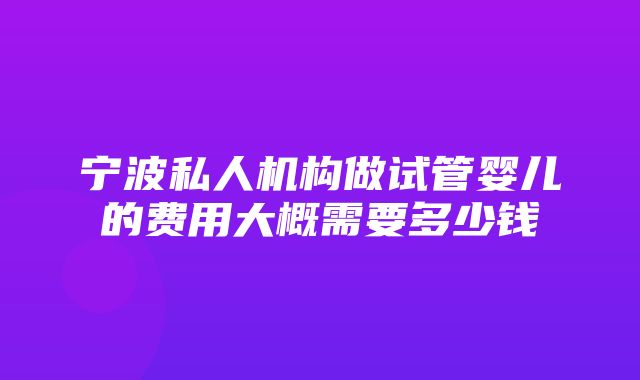 宁波私人机构做试管婴儿的费用大概需要多少钱