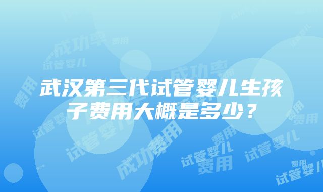 武汉第三代试管婴儿生孩子费用大概是多少？