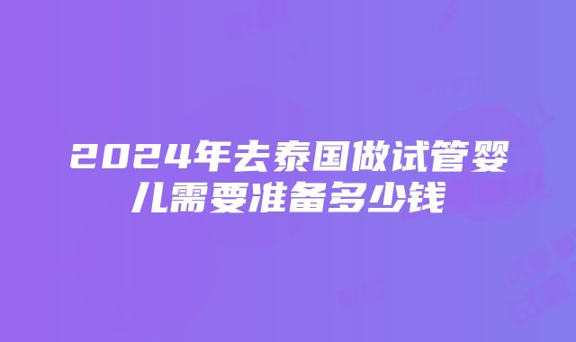 2024年去泰国做试管婴儿需要准备多少钱