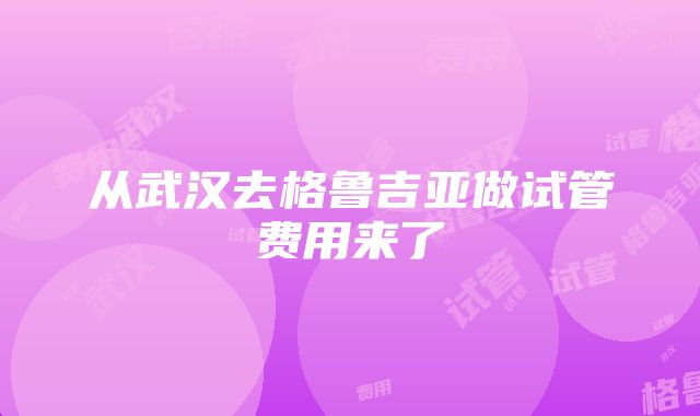 从武汉去格鲁吉亚做试管费用来了