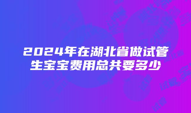 2024年在湖北省做试管生宝宝费用总共要多少