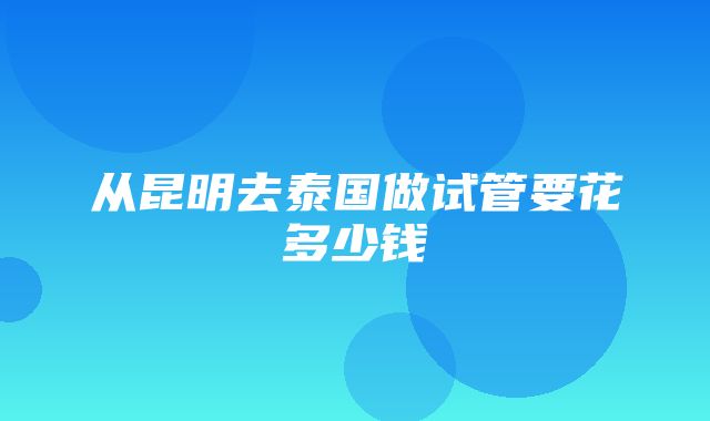 从昆明去泰国做试管要花多少钱