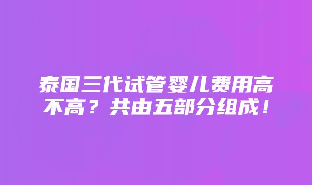 泰国三代试管婴儿费用高不高？共由五部分组成！