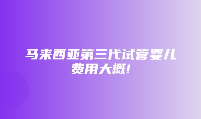 马来西亚第三代试管婴儿费用大概!