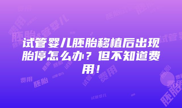 试管婴儿胚胎移植后出现胎停怎么办？但不知道费用！