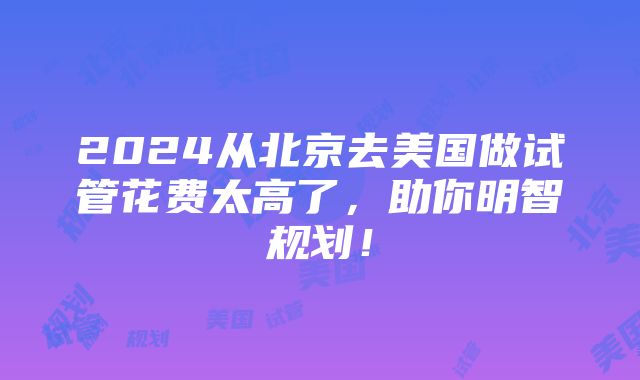 2024从北京去美国做试管花费太高了，助你明智规划！