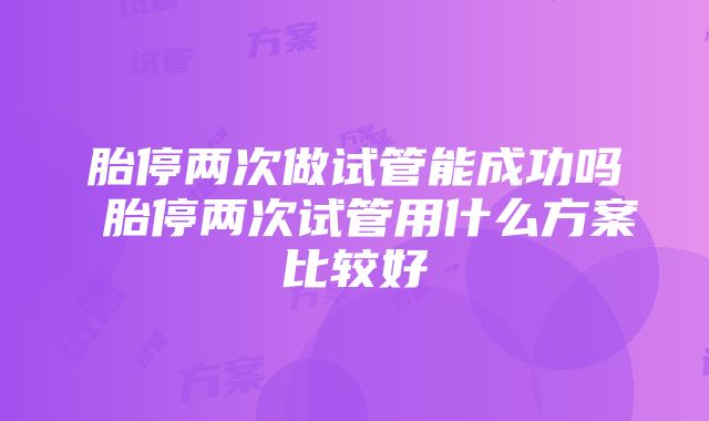 胎停两次做试管能成功吗 胎停两次试管用什么方案比较好