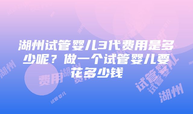 湖州试管婴儿3代费用是多少呢？做一个试管婴儿要花多少钱