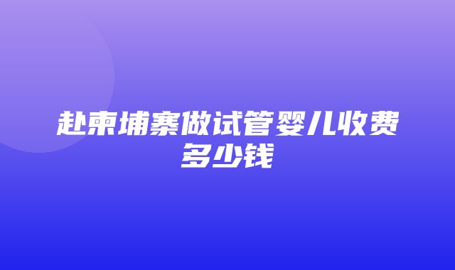 赴柬埔寨做试管婴儿收费多少钱