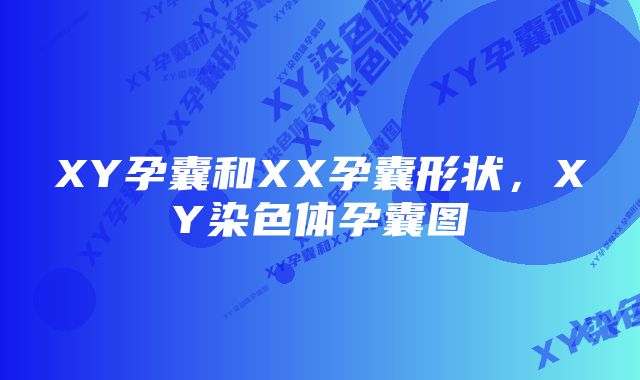 XY孕囊和XX孕囊形状，XY染色体孕囊图