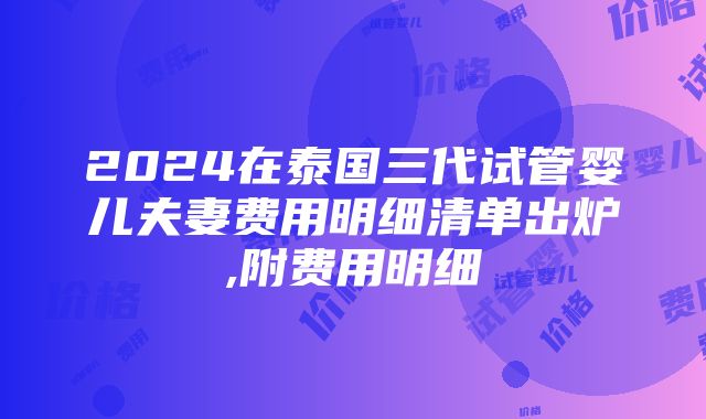 2024在泰国三代试管婴儿夫妻费用明细清单出炉,附费用明细