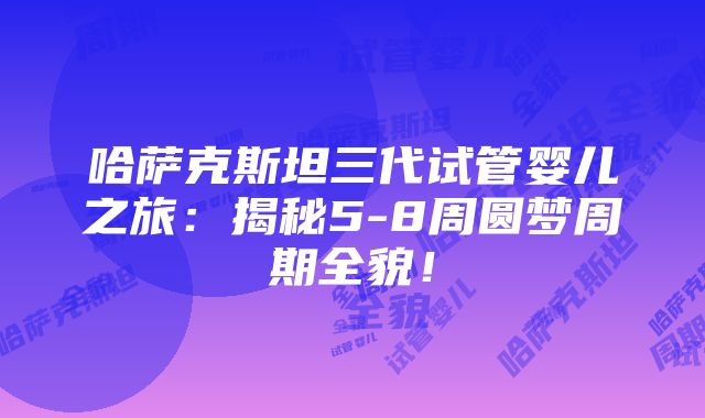 哈萨克斯坦三代试管婴儿之旅：揭秘5-8周圆梦周期全貌！