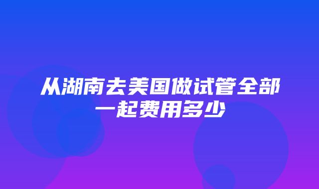 从湖南去美国做试管全部一起费用多少