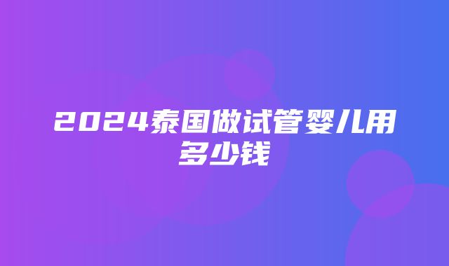 2024泰国做试管婴儿用多少钱