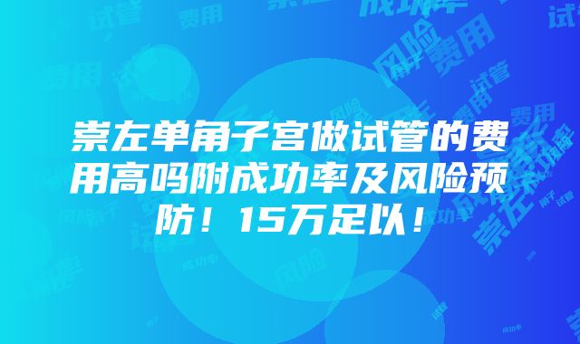 崇左单角子宫做试管的费用高吗附成功率及风险预防！15万足以！