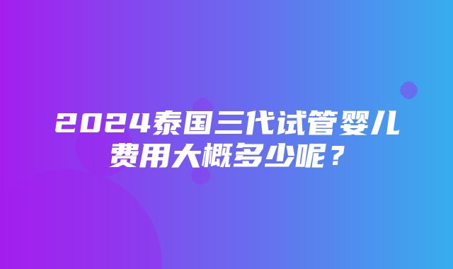 2024泰国三代试管婴儿费用大概多少呢？