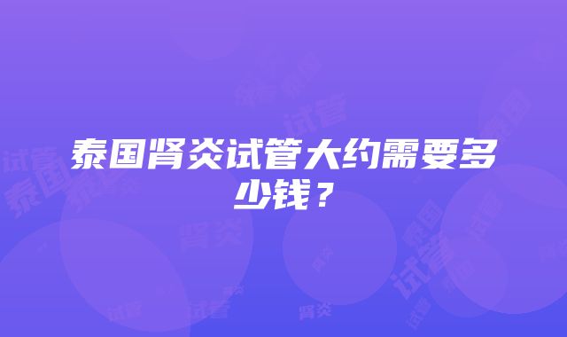 泰国肾炎试管大约需要多少钱？