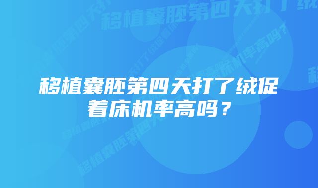 移植囊胚第四天打了绒促着床机率高吗？