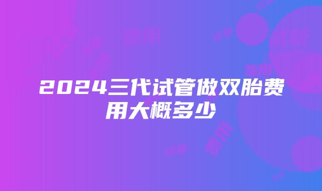 2024三代试管做双胎费用大概多少