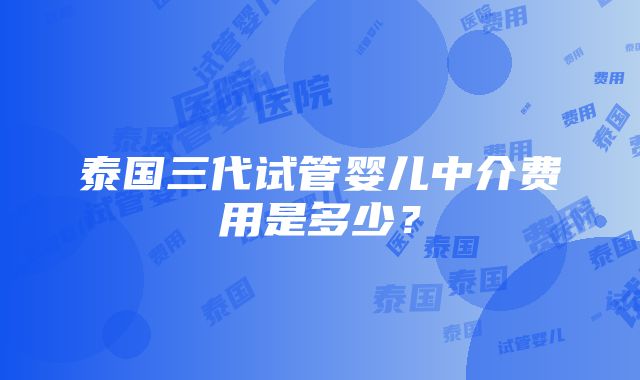 泰国三代试管婴儿中介费用是多少？