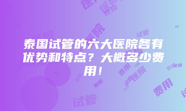 泰国试管的六大医院各有优势和特点？大概多少费用！