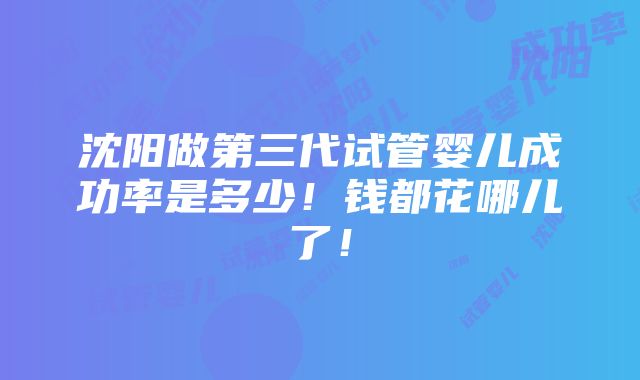 沈阳做第三代试管婴儿成功率是多少！钱都花哪儿了！