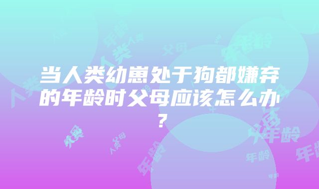 当人类幼崽处于狗都嫌弃的年龄时父母应该怎么办？